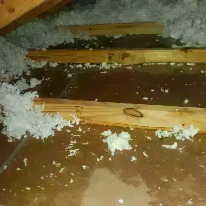 Attic Water Damage in Pulaski County, IN