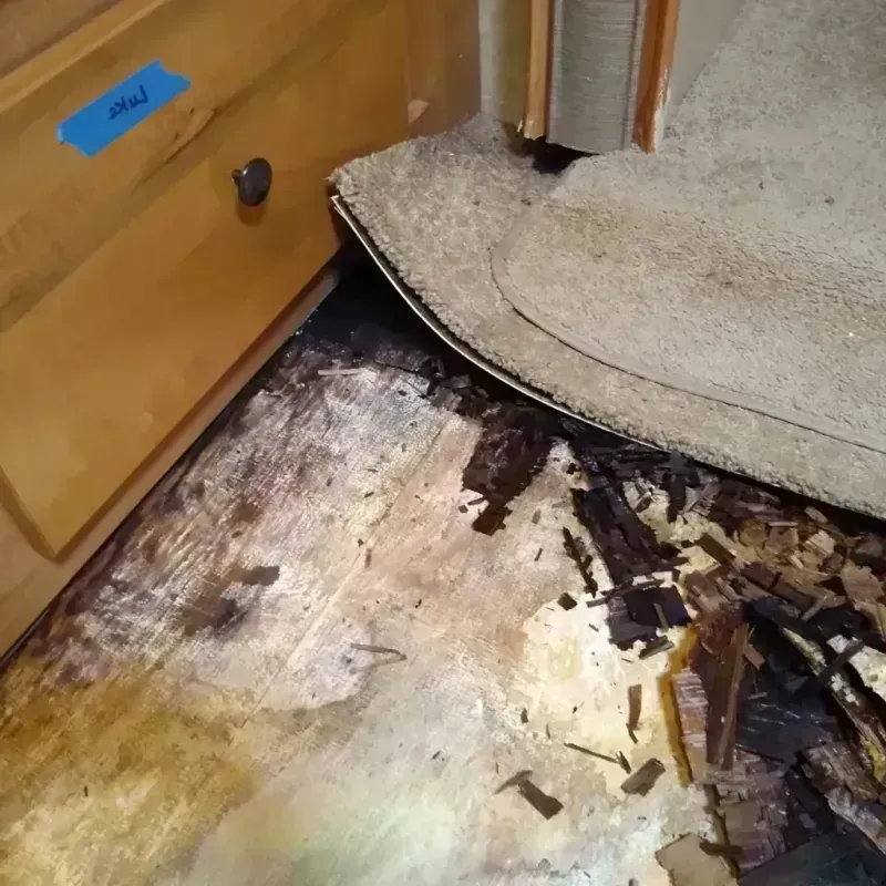 Best Wood Floor Water Damage Service in Pulaski County, IN